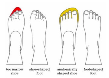 Foot diagram